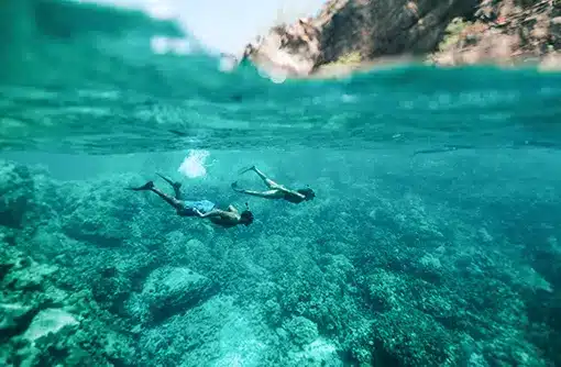 HTA_Hawaii Island_Kona_Kealakekua Bay Snorkelers